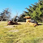 Vacation In *