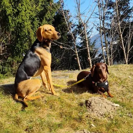 Hébergement de vacances Vacation In