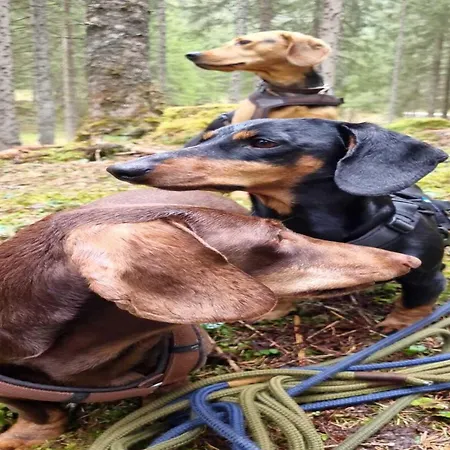 Vacation In Hébergement de vacances Flachau