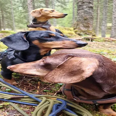 Holiday home Vacation In