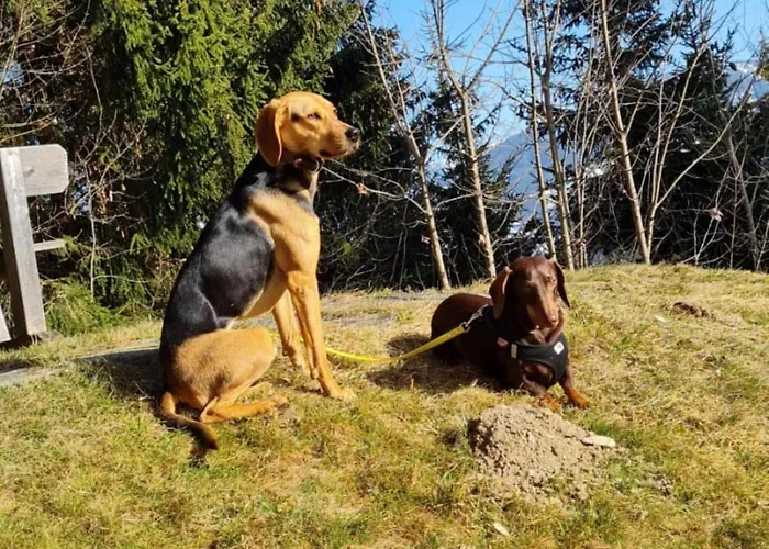 Vakantiehuis Vacation In