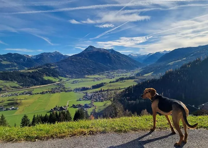 Vacation In Vakantiehuis Flachau