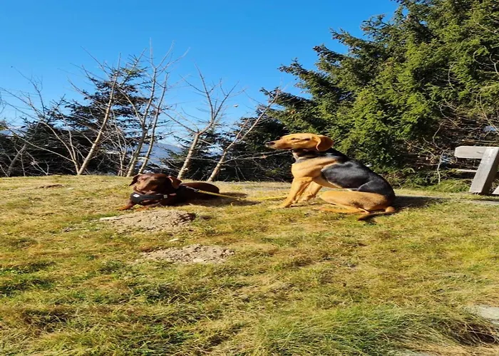 Ferienhaus Vacation In